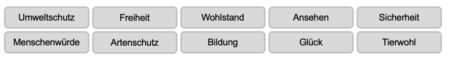 Graue Buttons mit Stichwörtern: Umweltschutz, Freiheit, Wohlstand, Ansehen, Sicherheit, Menschenwürde, Artenschutz, Bildung, Glück, Tierwohl